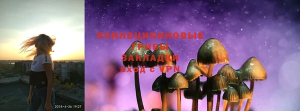 дмт Арсеньев