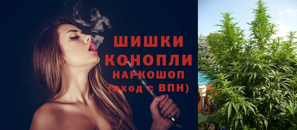 дмт Арсеньев
