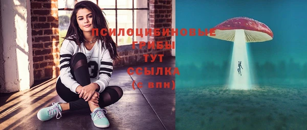 дмт Арсеньев