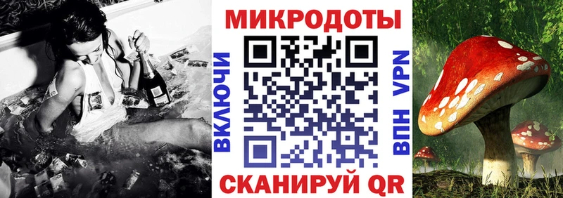 Галлюциногенные грибы GOLDEN TEACHER купить закладку Полярный